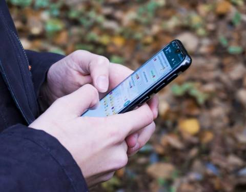 Justiça de SP começa fazer intimações pelo WhatsApp