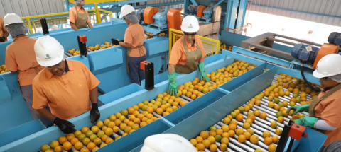 Quase 700 produtos escaparam de 'tarifaço' dos Estados Unidos; confira a lista