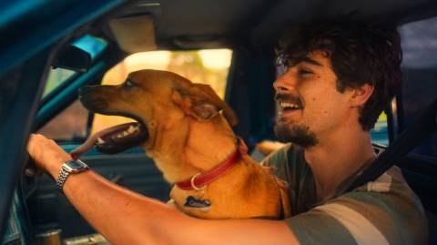 Netflix lança trailer divertido e emocionante do filme Caramelo, estrelado por Rafael Vitti e o cãozinho Amendoim