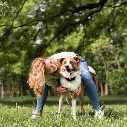 Barueri abre agendamento para castração gratuita de pets na próxima quarta (3)