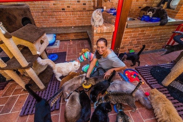 protetoras de animais em Alphaville