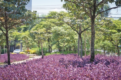 Serviço de irrigação garante o lindo paisagismo de Alphaville
