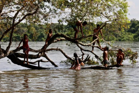 Objetivo transmite live com o tema “Os 60 anos do Parque Indígena do Xingu”